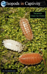 Isopods in Captivity 1 | reptile and terrarium supplies