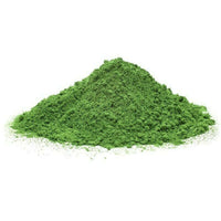 Josh's Frogs Spirulina Powder | reptile and terrarium supplies