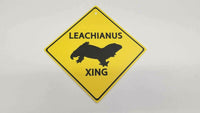 Crossing Street Sign - Leachie Crossing | reptile and terrarium supplies