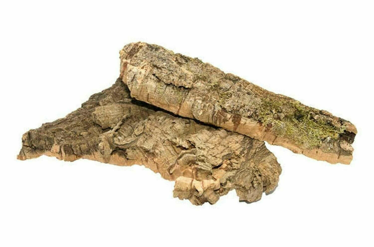 SALE : Cork FLATS (All Sizes) | reptile and terrarium supplies