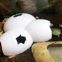 Egg Shell Hiding Cave | reptile and terrarium supplies