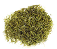 Dried Spanish Moss | reptile and terrarium supplies