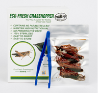 ProBugs Eco-Fresh Grasshopper | reptile and terrarium supplies