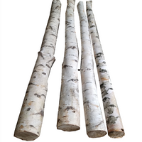 Birch Tree Pole | reptile and terrarium supplies