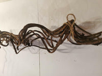 Curly Vine 20" 10 pack | reptile and terrarium supplies