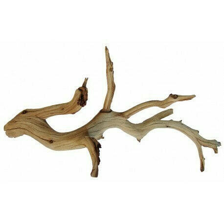 California Ghostwood - Fancy | reptile and terrarium supplies