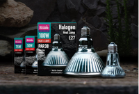 Arcadia Halogen Heat Lamp | reptile and terrarium supplies