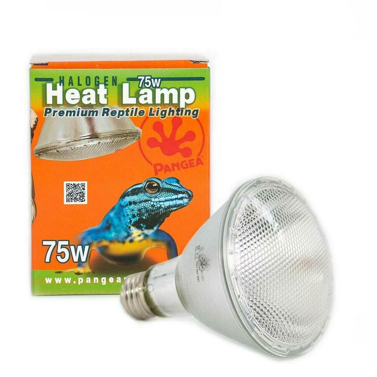 Pangea Halogen Heat Lamp | reptile and terrarium supplies