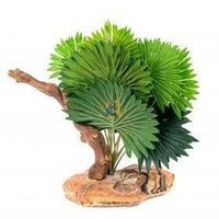 Mini fan palm with climbing branch on stone base | reptile and terrarium supplies