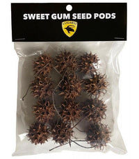 Sweet Gum Seed Pods | reptile and terrarium supplies