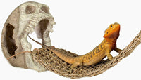 Skull Hide Away with Hammock Combo | reptile and terrarium supplies