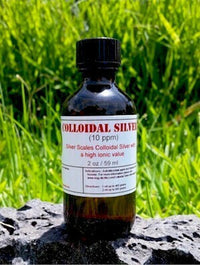 Colloidal Silver - Regular Strength 60ML | reptile and terrarium supplies