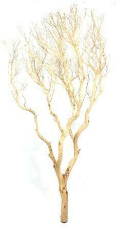 Sandblasted Manzanita Branch | reptile and terrarium supplies