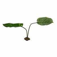 Guiana Plant Jumbo | reptile and terrarium supplies