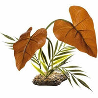 Rainforest Canopy | reptile and terrarium supplies