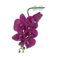 Pangea Hanging Purple Orchid | reptile and terrarium supplies