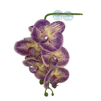 Pangea Hanging Purple and Yellow Orchid | reptile and terrarium supplies