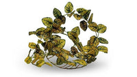 Japanese Laurel Leafy Vine | reptile and terrarium supplies