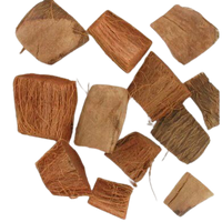 Diced Coconut Husk | reptile and terrarium supplies