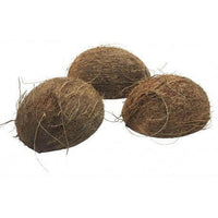 Coconut Half Shell with Fiber | reptile and terrarium supplies