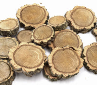 Cork Branch Slices | reptile and terrarium supplies