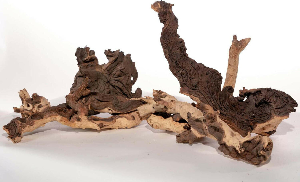 Mopani Wood | reptile and terrarium supplies