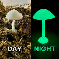 Glow In The Dark Terra Shrooms - LARGE | reptile and terrarium supplies