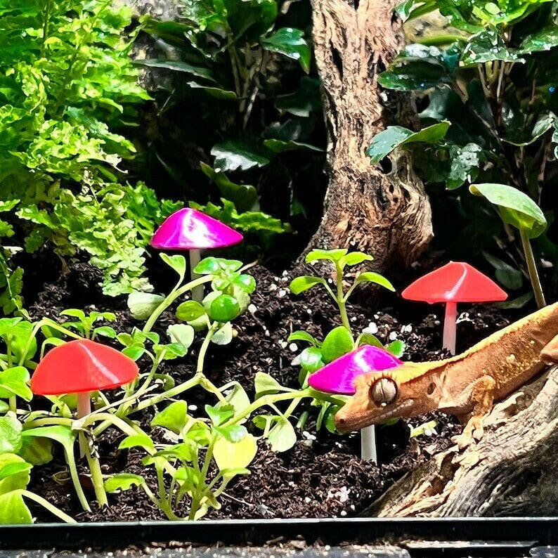 Terra Shrooms - Set of 4 | reptile and terrarium supplies