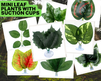 Mini Leaf Plants with Suction Cup Style Choice SEND ME A RANDOM ONE