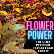 Flower Power:  Ultra Premium Flower Food Topper | reptile and terrarium supplies