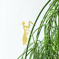 Plant Animal - Praying Mantis