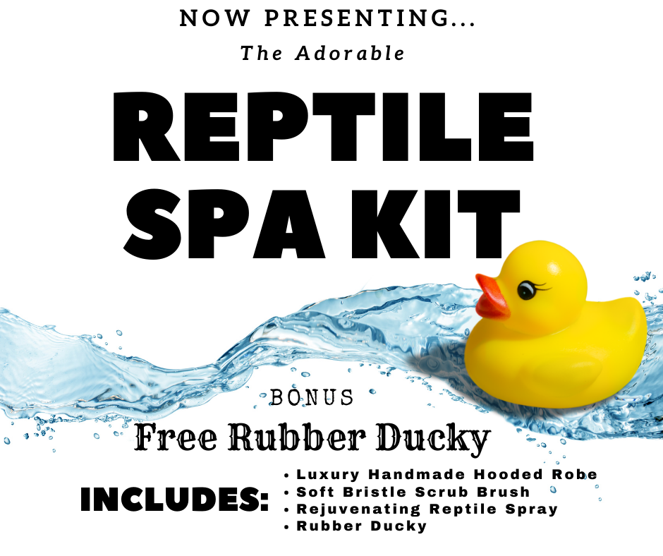 Reptile Spa Kit | reptile and terrarium supplies