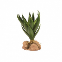 Green Aloe - Naturalistic Desert Plants | reptile and terrarium supplies