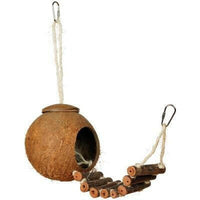 Hanging Coconut with Ladder | reptile and terrarium supplies