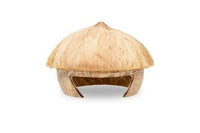 Coconut Designer Home | reptile and terrarium supplies