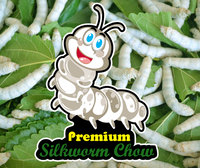 Organic Silkworm Chow - Powder | reptile and terrarium supplies