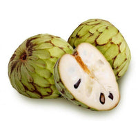 Meet Annona cherimola. The common name for this is Cherimoya Custard Apple . Stargazer Exotics is proud to offer the freshest of rare plant seeds. Other Common names for this rare Other Rare Plants are: Annona cherimola, Custard Apple, Chirimoya. Check this Cherimoya Custard Apple (Annona cherimola) out along with all of our Other Rare Plants seeds here at Stargazer Exotics. We ship these Other Rare Plants seeds from Canada to anywhere in the World.
