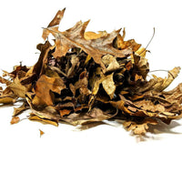 Eastern Oak Leaf Litter | reptile and terrarium supplies