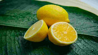 Meet Citrus limon. The common name for this is Lemom Citrus Fruit. Stargazer Exotics is proud to offer the freshest of rare plant seeds. Other Common names for this rare Other Rare Plants are : Sour Orange, Lemonade Fruit, Citrus Limon, Sweet Lime. Check this Lemom Citrus Fruit (Citrus limon) out along with all of our Other Rare Plants seeds here at Stargazer Exotics. We ship these Other Rare Plants seeds from Canada to anywhere in the World.
