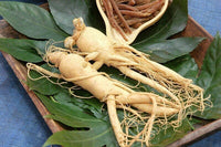 Meet Panax ginseng. The common name for this is Korean Ginseng. Stargazer Exotics is proud to offer the freshest of rare plant seeds. Other Common names for this rare Other Rare Plants are : Panax ginseng, Asian Ginseng. Check this Korean Ginseng (Panax ginseng) out along with all of our Other Rare Plants seeds here at Stargazer Exotics. We ship these Other Rare Plants seeds from Canada to anywhere in the World.