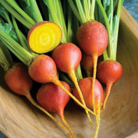 Meet Beta vulgaris. The common name for this is Golden Beets. Stargazer Exotics is proud to offer the freshest of rare plant seeds. Check this Golden Beets (Beta vulgaris) out along with all of our other Heirloom Vegetable and Rare Finds Trees plant seeds here at Stargazer Exotics. We ship these Heirloom Vegetable and Rare Finds seeds from Canada to anywhere in the World.