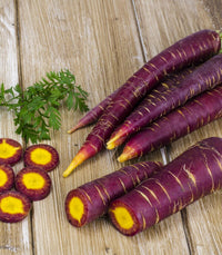 Meet Daucus carota. The common name for this is Cosmic Purple Carrot. Stargazer Exotics is proud to offer the freshest of rare plant seeds. Check this Cosmic Purple Carrot (Daucus carota) out along with all of our other Heirloom Vegetable and Rare Finds Trees plant seeds here at Stargazer Exotics. We ship these Heirloom Vegetable and Rare Finds seeds from Canada to anywhere in the World.
