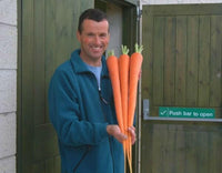 Meet Daucus carota. The common name for this is Manpukuji Giant Carrot. Stargazer Exotics is proud to offer the freshest of rare plant seeds. Check this Manpukuji Giant Carrot (Daucus carota) out along with all of our other Heirloom Vegetable and Rare Finds Trees plant seeds here at Stargazer Exotics. We ship these Heirloom Vegetable and Rare Finds seeds from Canada to anywhere in the World.
