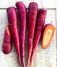 Meet Daucus carota. The common name for this is Purple Dragon Carrot. Stargazer Exotics is proud to offer the freshest of rare plant seeds. Check this Purple Dragon Carrot (Daucus carota) out along with all of our other Heirloom Vegetable and Rare Finds Trees plant seeds here at Stargazer Exotics. We ship these Heirloom Vegetable and Rare Finds seeds from Canada to anywhere in the World.
