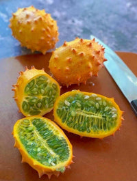 Meet Cucumis metuliferus. The common name for this is African Horned Jelly Melon Cucumber (Kiwano). Stargazer Exotics is proud to offer the freshest of rare plant seeds. Check this African Horned Jelly Melon Cucumber (Kiwano) (Cucumis metuliferus) out along with all of our other Heirloom Vegetable and Rare Finds plant seeds here at Stargazer Exotics. We ship these Heirloom Vegetable and Rare Finds seeds from Canada to anywhere in the World. 