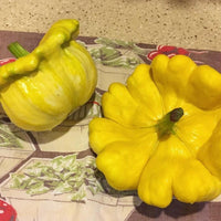 Meet Cucurbita pepo. The common name for this is Custard Summer Squash. Stargazer Exotics is proud to offer the freshest of rare plant seeds. Check this Custard Summer Squash (Cucurbita pepo) out along with all of our other Heirloom Vegetable and Rare Finds Trees plant seeds here at Stargazer Exotics. We ship these Heirloom Vegetable and Rare Finds seeds from Canada to anywhere in the World.
