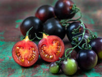 Meet Solanum lycopersicum. The common name for this is Indigo Blue Chocolate Tomato. Stargazer Exotics is proud to offer the freshest of rare plant seeds. Check this Indigo Blue Chocolate Tomato (Solanum lycopersicum) out along with all of our other Heirloom Vegetable and Rare Finds Trees plant seeds here at Stargazer Exotics. We ship these Heirloom Vegetable and Rare Finds seeds from Canada to anywhere in the World.