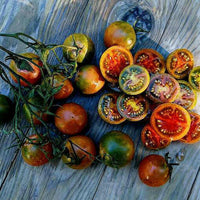 Meet Solanum lycopersicum. The common name for this is Evil Olive Tomato'. Stargazer Exotics is proud to offer the freshest of rare plant seeds. Check this Evil Olive Tomato (Solanum lycopersicum) out along with all of our other Heirloom Vegetable and Rare Finds Trees plant seeds here at Stargazer Exotics. We ship these Heirloom Vegetable and Rare Finds seeds from Canada to anywhere in the World.
