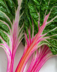 Meet Beta vulgaris cicla. The common name for this is Peppermint Swiss Chard. Stargazer Exotics is proud to offer the freshest of rare plant seeds. Check this Peppermint Swiss Chard (Beta vulgaris cicla) out along with all of our other Heirloom Vegetable and Rare Finds Trees plant seeds here at Stargazer Exotics. We ship these Heirloom Vegetable and Rare Finds seeds from Canada to anywhere in the World.
