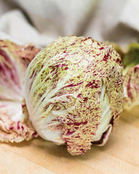 Radicchio De Lusia / Veriegated Chicory